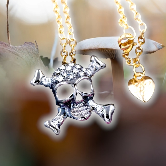 Silver plated crystal skull and crossbone necklace/brooch with gold chain - Picture 15 of 16